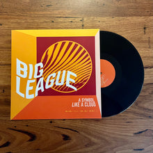 Load image into Gallery viewer, Vinyl Pack - only 3 left!