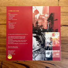 Load image into Gallery viewer, Vinyl Pack - only 3 left!